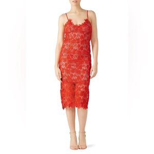 NWT Bardot Paprika Lace Midi Dress